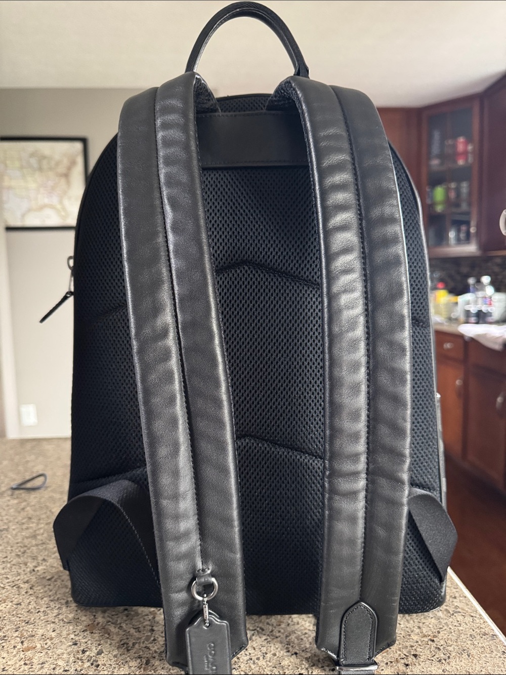 😎Coach Men's Signature Canvas Backpack in Gray !! EUC good condition 😎 - Picture 3 of 13